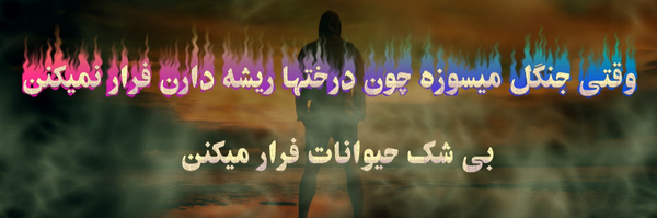 تصویر سربرگ نمایه‌ی ‌Achaemenid‌