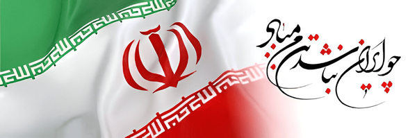 تصویر سربرگ نمایه‌ی ‌امیر مهدی امیری‌