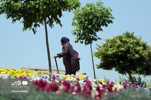اردیبهشت در باغ گل های شیراز