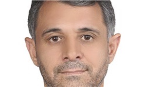 صدیف بدری نماینده مجلس دهم
