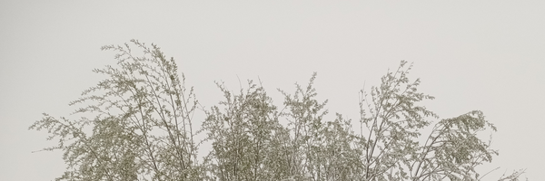 تصویر سربرگ نمایه‌ی ‌hassan h‌