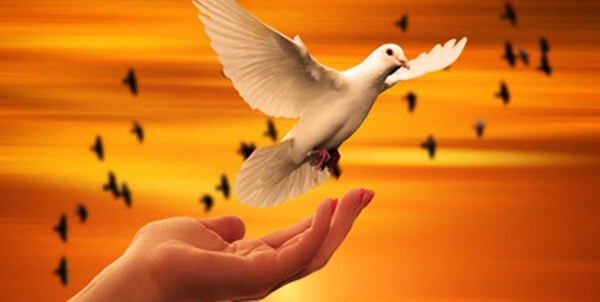 نجات از چوبه دار