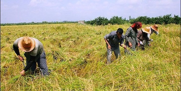 بیمه روستائیان