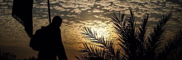 تصویر سربرگ نمایه‌ی ‌رضا تقی پور‌
