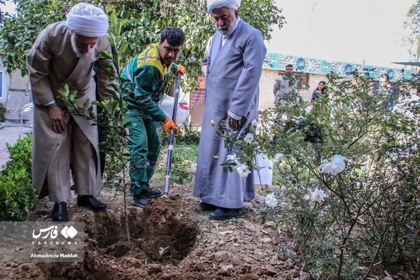 کاشت ۳ اصله نهال  به یاد سه امام جمعه فقید شیراز