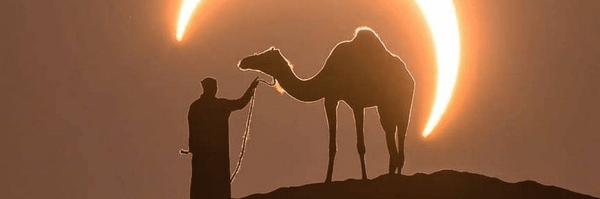 تصویر سربرگ نمایه‌ی ‌دانیال الکثیر‌