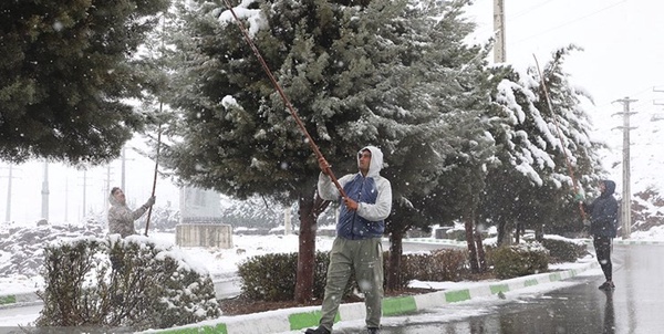 برف تهران