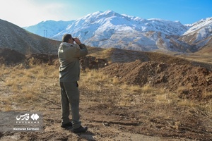 سرشماری حیات وحش طالقان