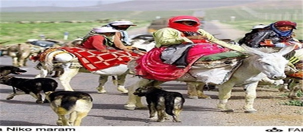 کوچ عشایر