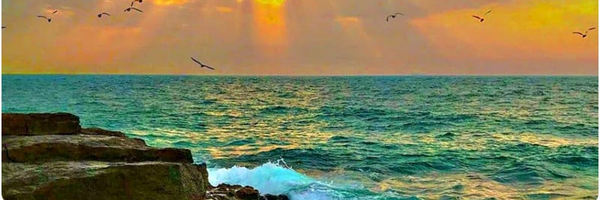 تصویر سربرگ نمایه‌ی ‌سید حسین موسوی‌