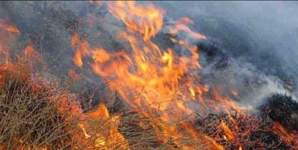 آتش سوزی مراتع