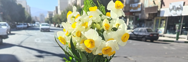 تصویر سربرگ نمایه‌ی کاربر