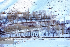 برف پاییزی در روستای «لیقوان» تبریز