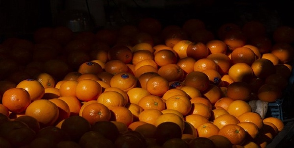 میوه شب عید