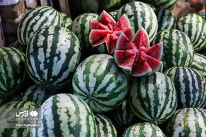 تب و تاب شب یلدا در زنجان