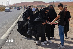 زائران پیاده امام رضا (ع) 