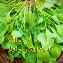 تصویر نمایه‌ی ‌Ali Sabzi‌