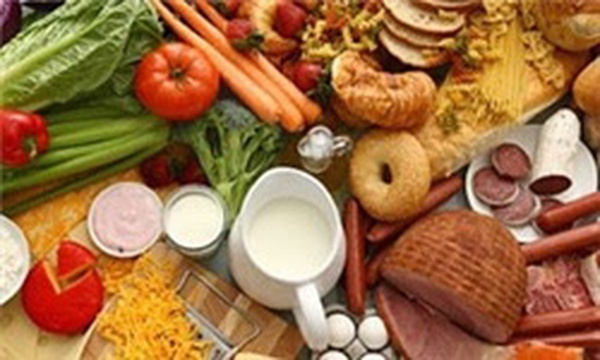 غذا صنایع غذایی