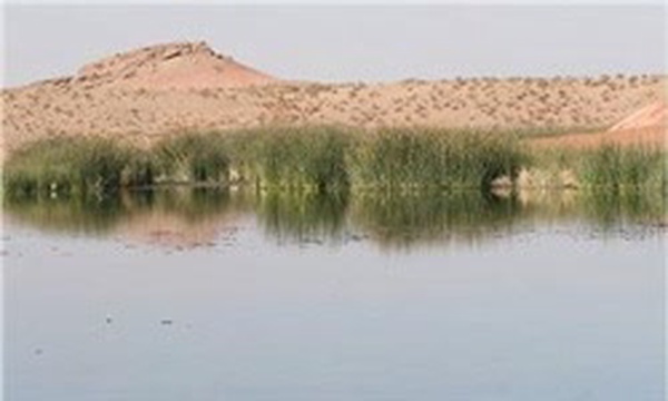 تالاب