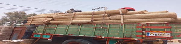 زاهدان