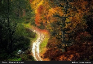 منطقه چهار دانگه ساری. روستاهای الندان و کیاده