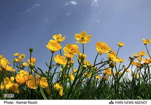 دریاچه نئور در ۴۸ کیلومتری جنوب شرقی اردبیل 