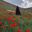 تصویر نمایه‌ی ‌زهرا یعقوبی‌