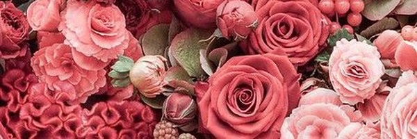 تصویر سربرگ نمایه‌ی ‌رضوانه حکمتی‌