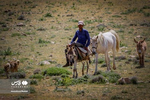 کوچ بهاره «عشایر فارس»