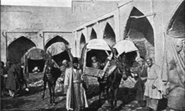 تهران