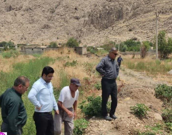 اا