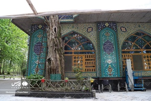 1000 سال همنشینی