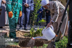 کاشت ۳ اصله نهال  به یاد سه امام جمعه فقید شیراز