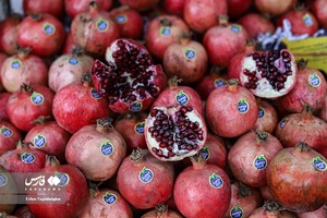 تب و تاب شب یلدا در زنجان