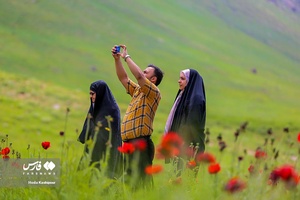 لاله‌ لار