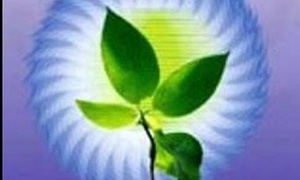 تعلیم و تربیت