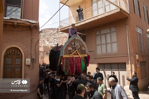 آیین نخل گردانی و مراسم عزاداری عاشورای حسینی در روستای ابیانه