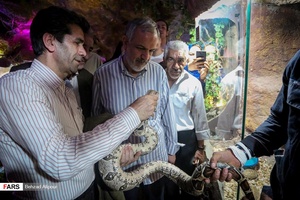مسافران تابستانی در گنجنامه همدان