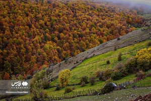  فصل رنگ‌ها /ارتفاعات چالوس