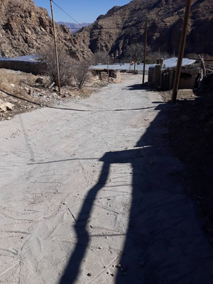 بکر