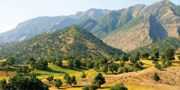 بذرکاری