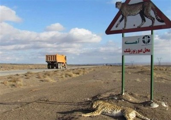 یوز جاده