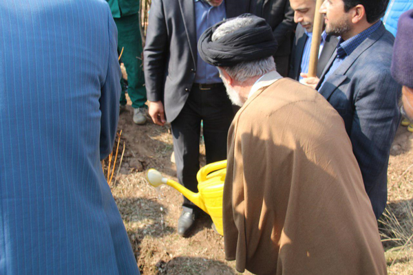 درختکاری