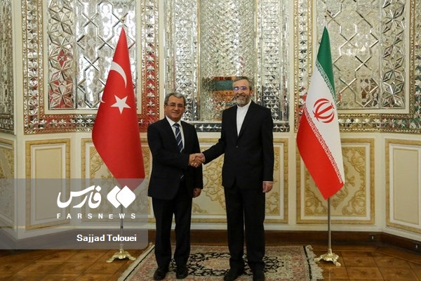 دیدار معاون وزیر خارجه ترکیه با علی باقری