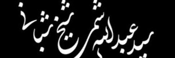 تصویر سربرگ نمایه‌ی ‌سید عبدالله هاشمی‌