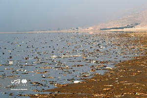 خطر! بیخِ گوشِ «مَهارلو» 