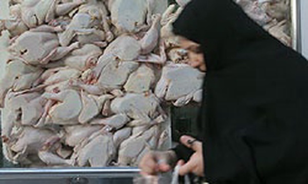 مرغ در تهران گران شد.