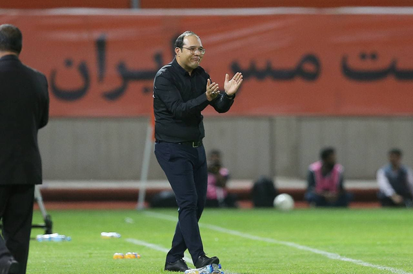 محمد ربیعی