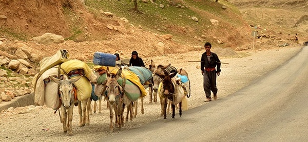 کوچ ایذه