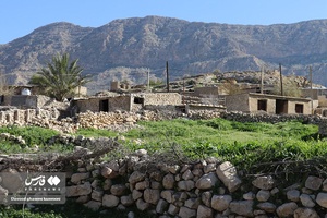 روستای الیف، روستایی سنگی به شمار می‌آید که منابع سنگی مناسبی دارد.